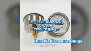 Casing tahan karat 2,5" 60mm -20~100cmH2O+sambungan kuningan