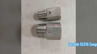 Pengukur Tekanan Diafragma SS316 1/2 NPT