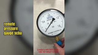 Pembacaan Jarak Jauh dan Pengukur Tekanan Jarak Jauh - Solusi Pemantauan Industri