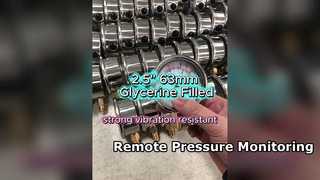 Casing tahan karat 2,5" 63mm, berisi Gliserin