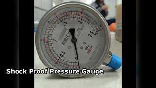 100mm 4" SEMUA SS 0-2,5MPa