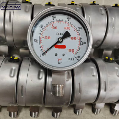 Silikon Gliserin Diisi Bezel Ring Pressure Gauge dengan 100mm Dial dan Bottom Mount untuk Aplikasi Industri