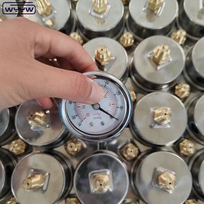 Pengukur Tekanan Vakum Baja Tahan Karat dengan Ukuran Dial 60mm dan Dudukan Belakang untuk Aplikasi Industri