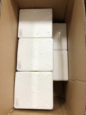 6" 0-1.6MPa Remote Pressure Gauge ∙ 1.6% Keakuratan