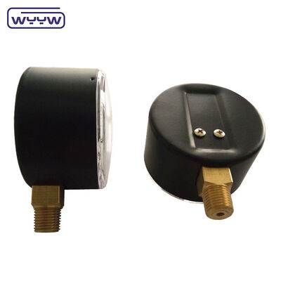 63mm 100mbar Casing Baja Hitam Kapsul Pressure Gauge untuk Gas dengan bagian bawah Mount